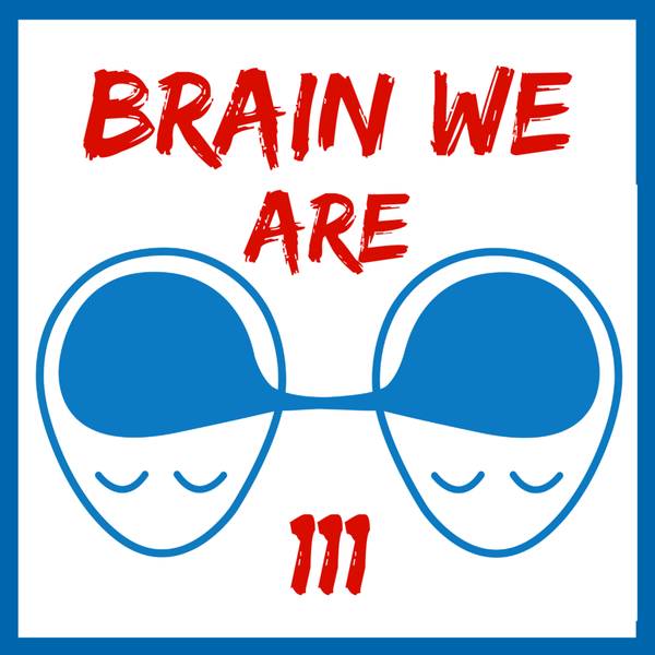 Brain We Are CZ
